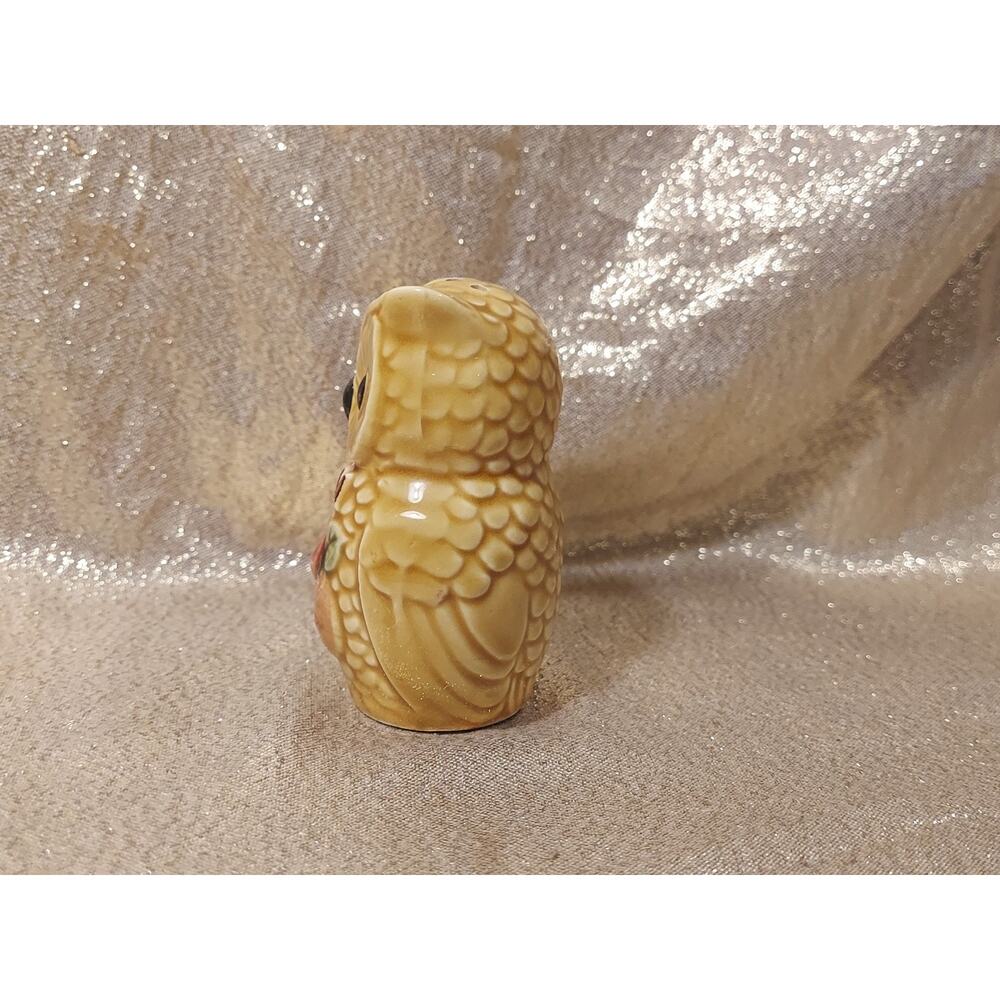 (1) Vintage Salt Shaker Florida Souvenir Ceramic Owl Replacement Piece - Picture 2 of 7